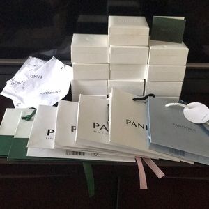 Pandora accessories bundle